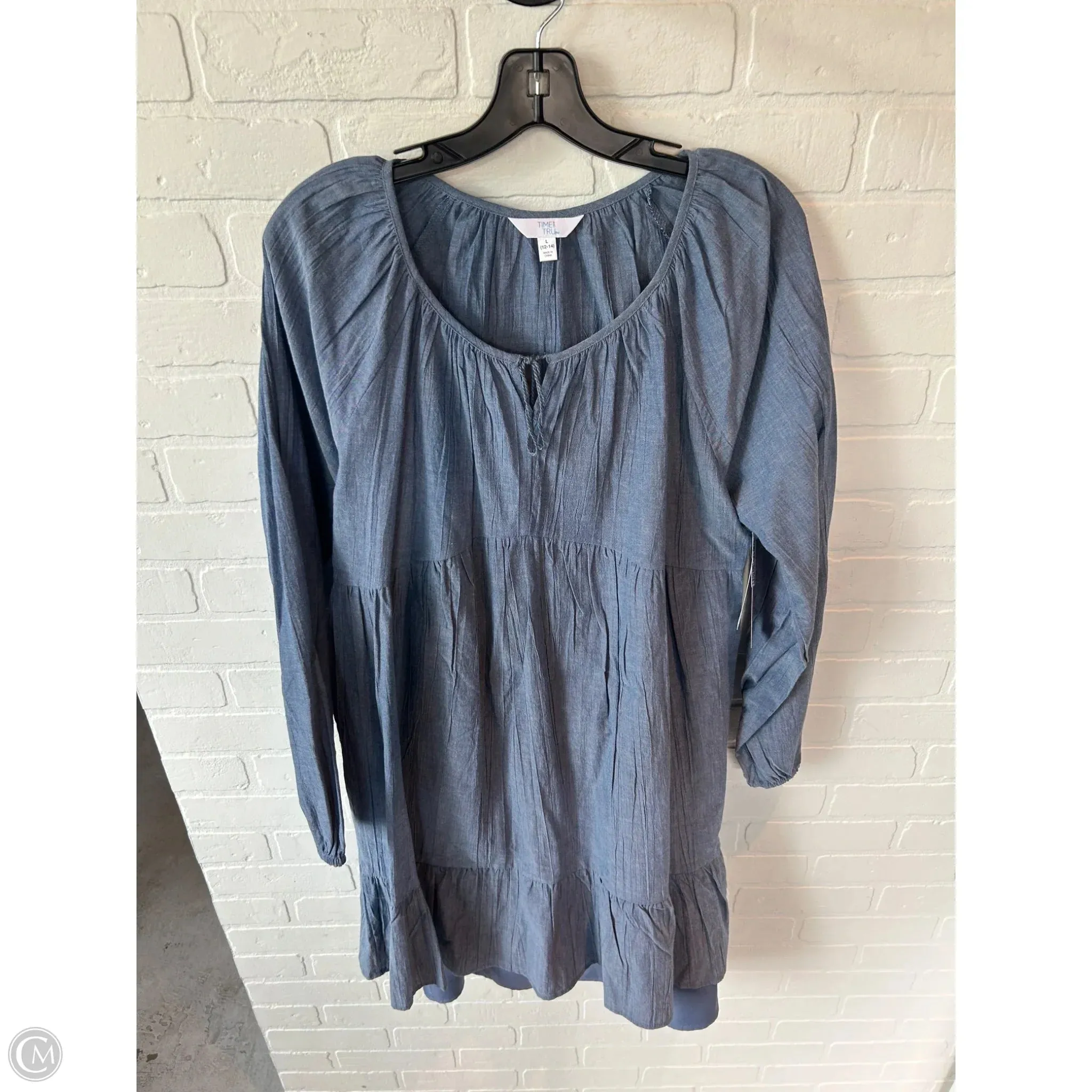 Dress Casual Short By Time And Tru In Blue, Size: L